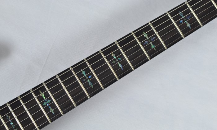 Schecter Hellraiser C 1 Fr Electric Guitar In Trans Purple Burst Finish Ebay Schecter Hellraiser C 1 Fr Electric Guitar In Trans Purple Burst Finish Ebay