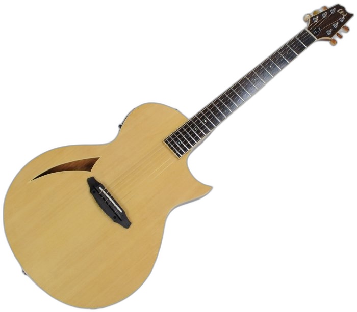 ESP LTD TL-6N Auditorium Acoustic | Studio Gears