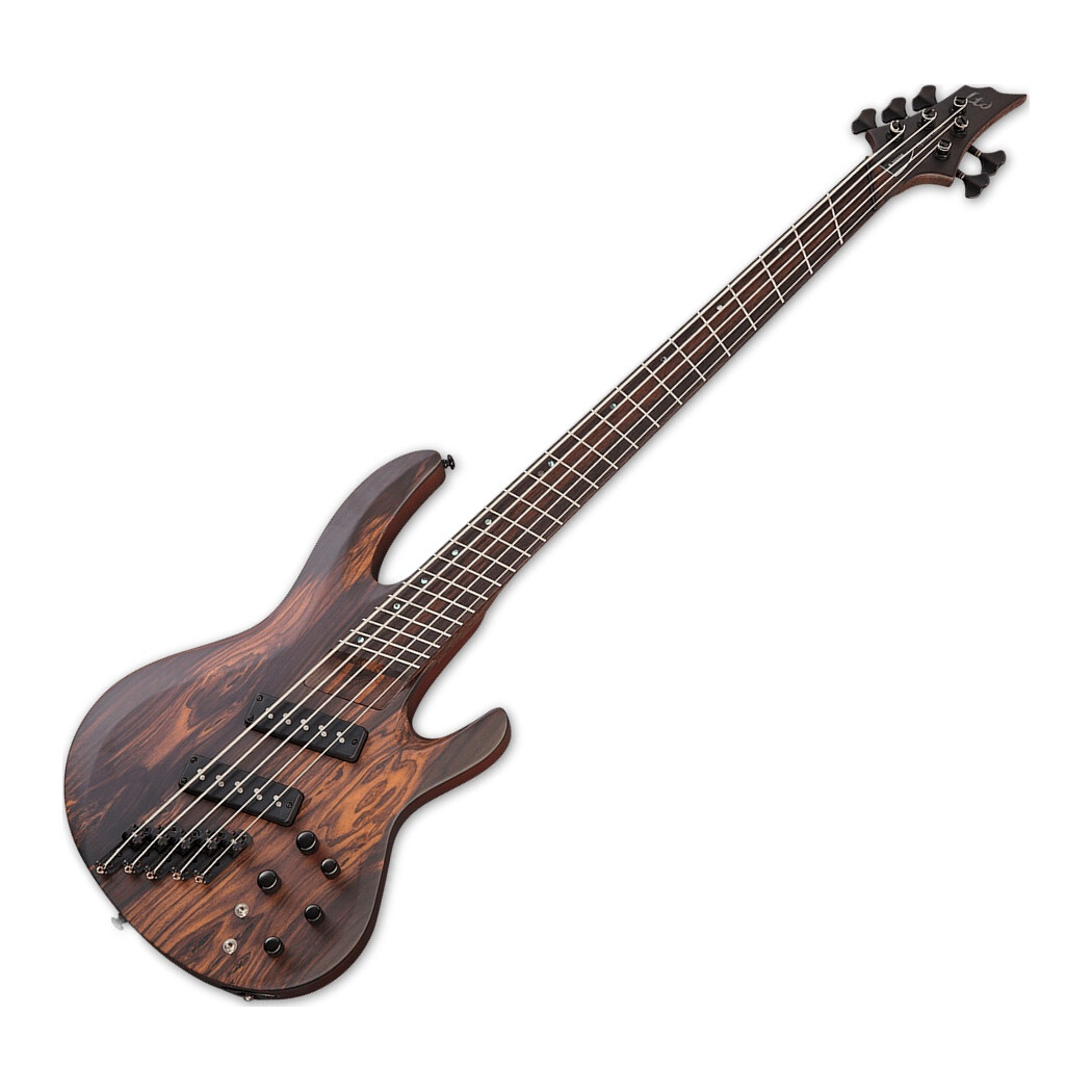 ESP LTD B-1004 Multi-Scale | Studio Gears