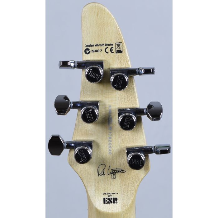 ESP LTD RC-600QM Rob Caggiano Signature Guitar | Studio Gears