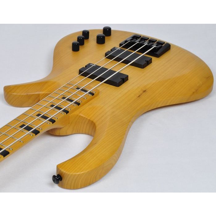 Schecter Riot-4 Session Bass for Recording | Studio Gears