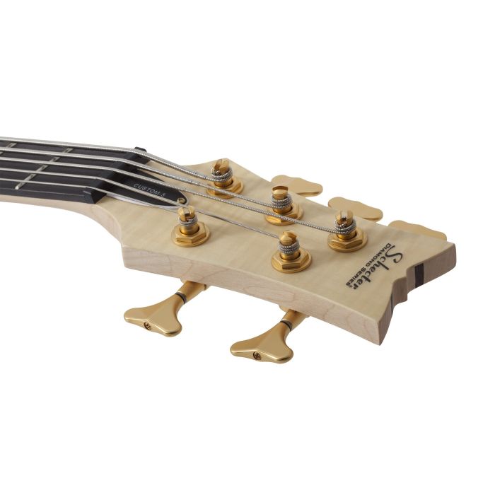Schecter Stiletto-5 Studio Bass | Studio Gears