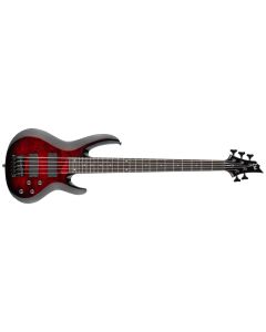 ESP LTD B-205DX RED BURST guitar sku number LB205DXREDB