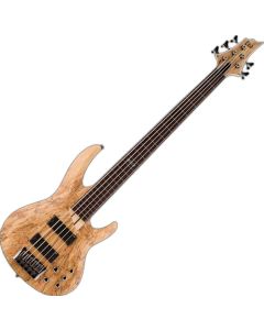 ESP LTD B-205SM Fretless Bass Guitar in Natural Stain Finish B-Stock sku number LB205SMFLNS-B