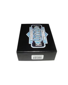 Seymour Duncan Retro Antiquity II Strat Surfer Pickup Set sku number 11028-08-RSPD