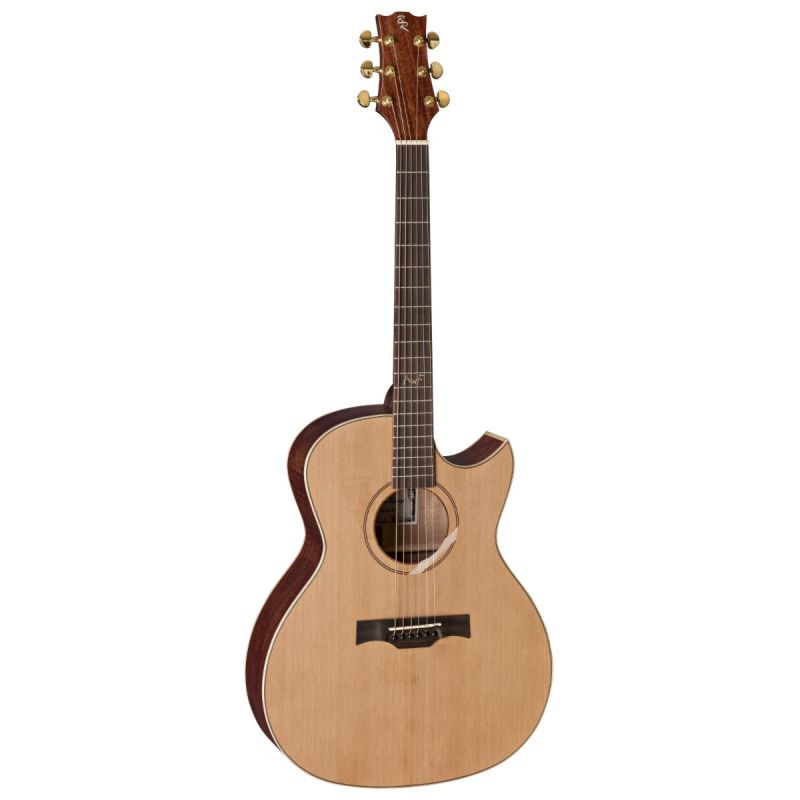 Baton Rouge X6C/AC-AF Cutaway | Studio Gears