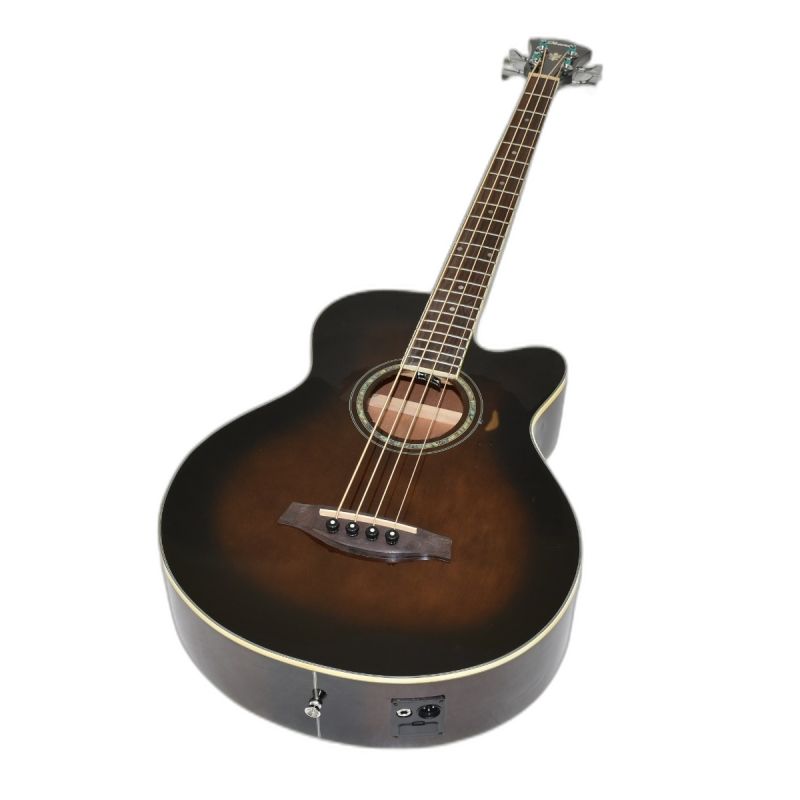 Ibanez AEB10E Acoustic Electric Bass | Studio Gears