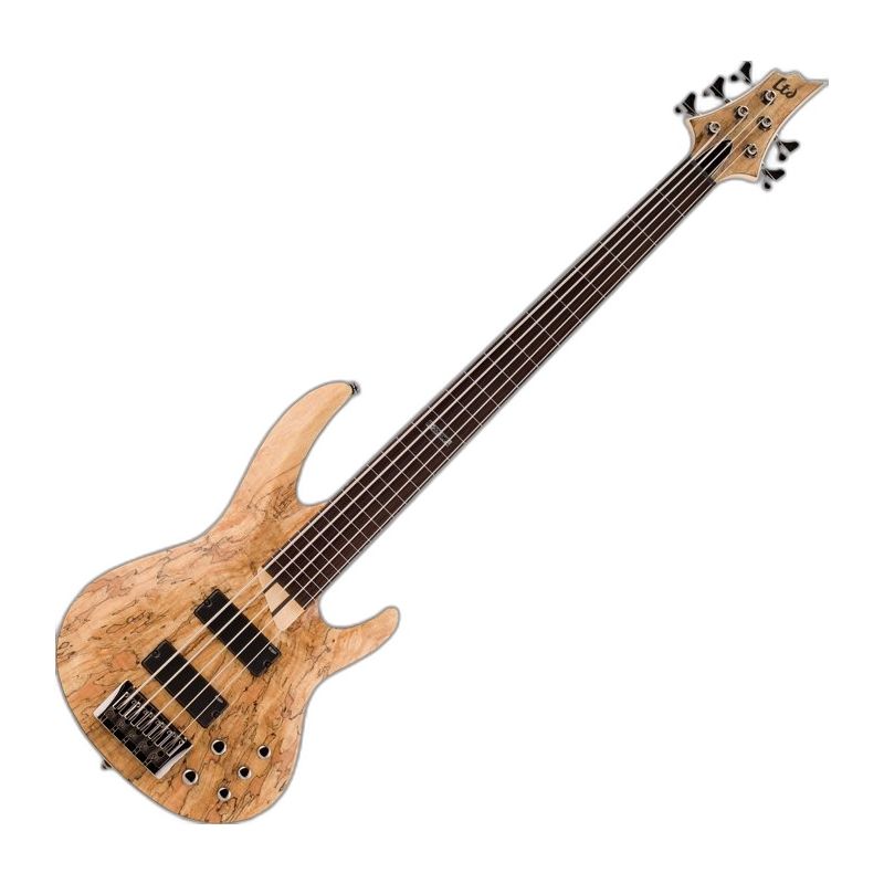 ESP LTD B-205SM Fretless Bass | Studio Gears