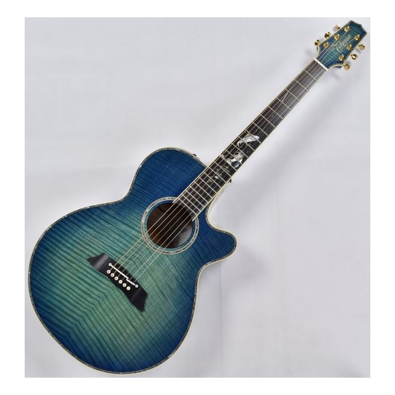 takamine-ltd-2016-decoy-