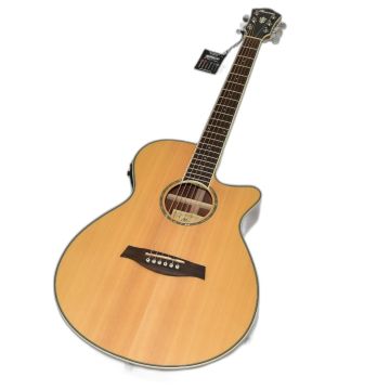 Ibanez AEG10IINT Acoustic Electric Guitar Natural B-Stock 0009 sku number AEG10NIINT-B0009