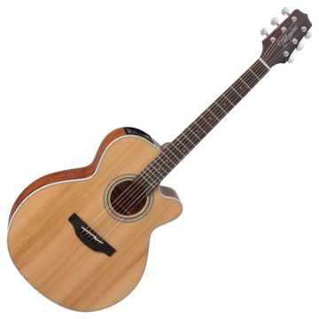 Takamine GN20CE-NS G-Series G20 Cutaway Acoustic Electric Guitar in Natural Finish B-Stock sku number TAKGN20CENS-B