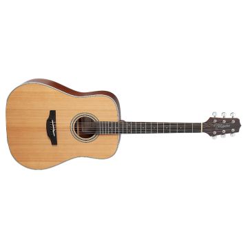 Takamine GD20 NS acoustic sku number TAKGD20NS