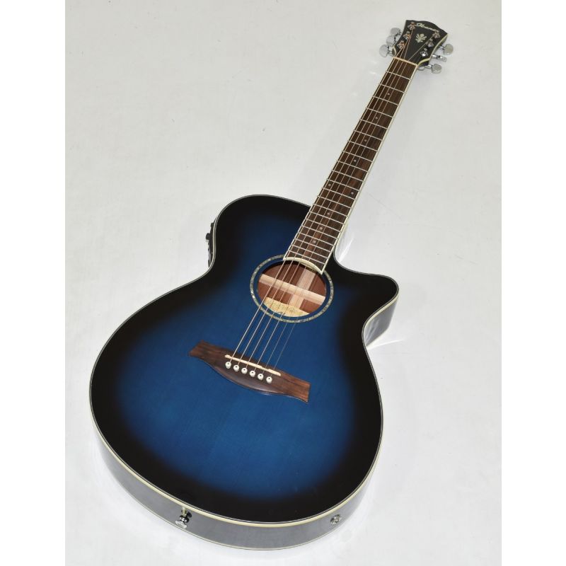 Ibanez AE110EDVS1201 アコースティックベース J12296000001000-00-600x600.jpg