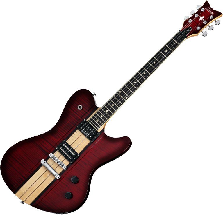 schecter-signature-dan-donegan