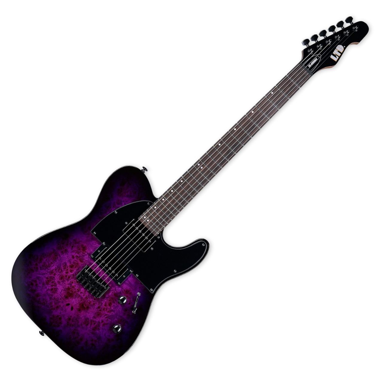 ESP LTD TE-200DX Electric Guitar Purple Burst - LTE200DXPRB | Studio G