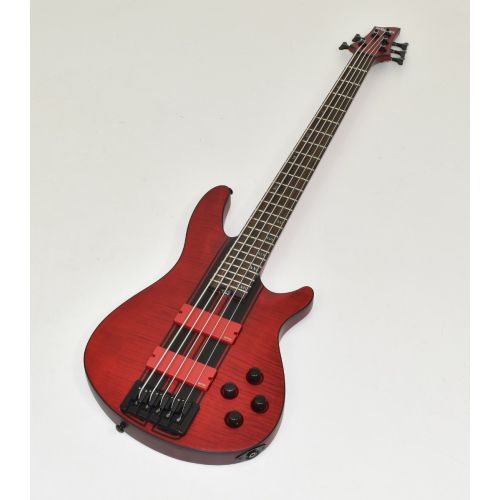 100％品質 schecter-c-5-gt-bass-satin- ミュージシャン