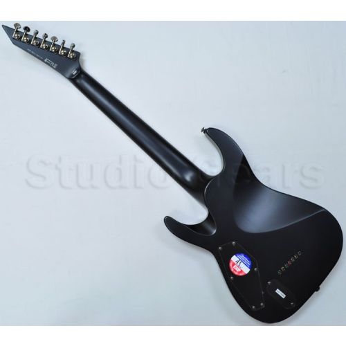 楽天市場】法螺貝・歌口付 サイズ35cm-37cm 真言タイプ : 和楽器