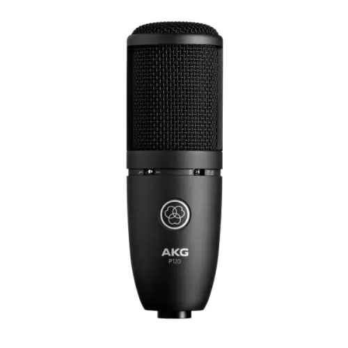 AKG P120 High-Performance General Purpose Recording Microphone sku number 3101H00400