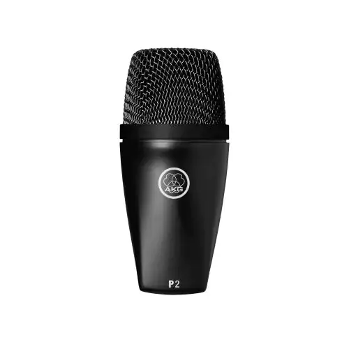 AKG P2 High-Performance Dynamic Bass Microphone sku number 3100H00150