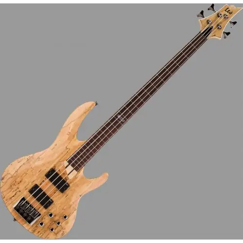 ESP LTD B-204SM Fretless Bass in Natural Stain Finish sku number LB204SMFLNS