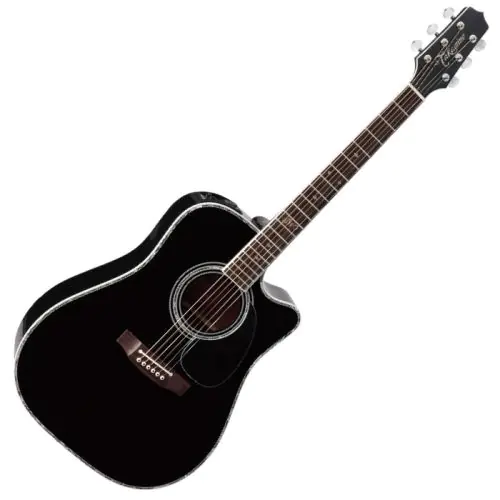 Takamine Signature Series SW341SC Steve Wariner Acoustic Guitar in Gloss Black Finish sku number TAKSW341SC