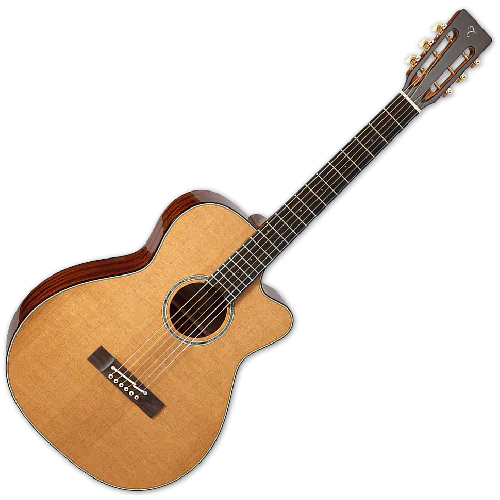 Takamine EF740FSTT Thermal Top Acoustic Guitar in Natural Finish sku number TAKEF740FSTT