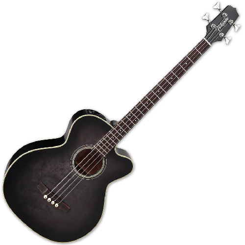 Takamine PB5 SBL Pro Series Acoustic Guitar in See Thru Black sku number TAKPB5SBL