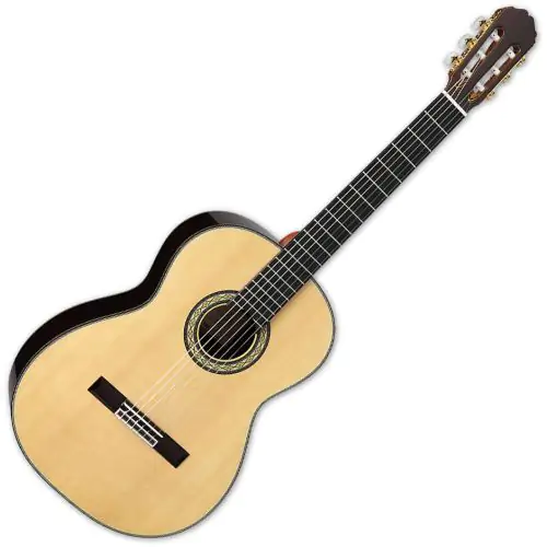 Takamine H8SS Classic Acoustic Guitar Natural sku number TAKH8SS
