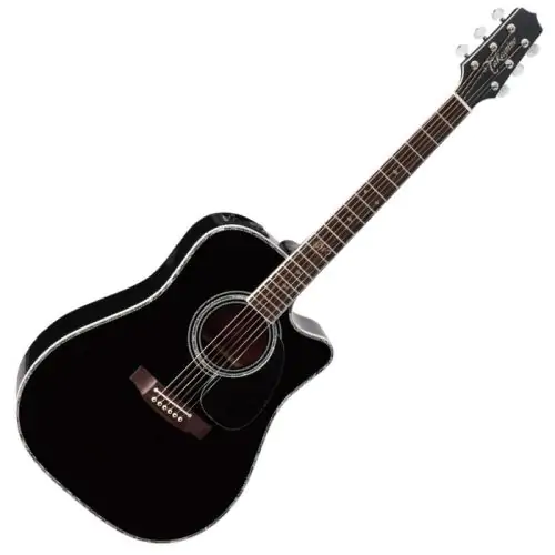 Takamine Signature Series SW341SC Steve Wariner Acoustic Guitar Gloss Black B-Stock sku number TAKSW341SC.B
