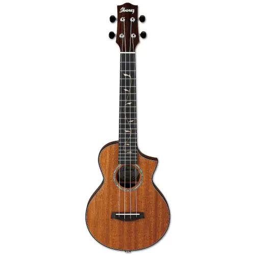 Ibanez UEW1MH Solid Mahogany Concert Ukulele w/ Bag and Fishman Pickup sku number 6SUEW1MH