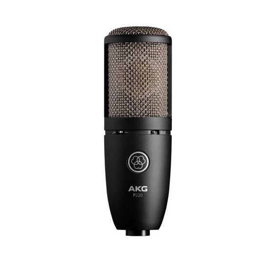 AKG P220 High-Performance Large Diaphragm True Condenser Microphone sku number 3101H00420
