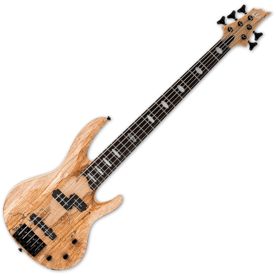 ESP LTD RB-1005SM 5 String Electric Bass Natural Satin sku number LRB1005SMNS