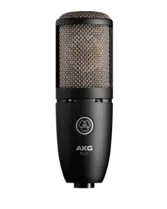 AKG P220 High-Performance Large Diaphragm True Condenser Microphone sku number 3101H00420