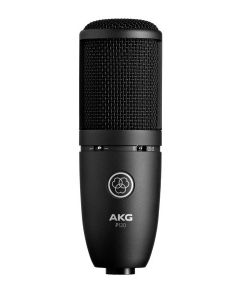 AKG P120 High-Performance General Purpose Recording Microphone sku number 3101H00400