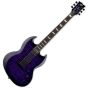 ESP LTD Viper-1000 Electric Guitar See Thru Purple Sunburst sku number LVIPER1000QMSTPSB