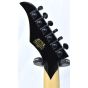 Wylde Audio Blood Eagle Electric Guitar Nordic Ice B-Stock 0067 sku number WYLDE4521.B 0067