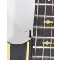 Schecter Synyster Custom-S Electric Guitar Gloss Black Gold Pin Stripes B-Stock 1380 sku number SCHECTER1742.B 1380