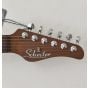 Schecter Nick Johnston PT Guitar Atomic Ink B-Stock 1396 sku number SCHECTER1733.B1396