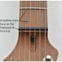 Schecter Traditional Van Nuys Guitar Natural Ash B-Stock 2743 sku number SCHECTER701.B2743