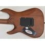 Schecter C-1 Exotic Spalted Maple Guitar Natural B-Stock 0102 sku number SCHECTER3338.B0102