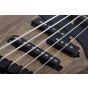 Schecter Model-T 5 String Exotic Bass Black Limba sku number SCHECTER2833