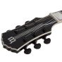 Wylde Audio Barbarian Psychic Bullseye RawTop Lefty Guitar sku number SCHECTER4530