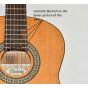 Ibanez IJC30 JAMPACK Nylon Acoustic Guitar Package in Amber High Gloss Finish B-Stock 6308 sku number IJC30.B 6308