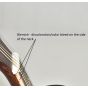 Ibanez AW535CE-NT Artwood Series Acoustic Electric Guitar in Natural High Gloss Finish B-Stock 5960 sku number AW535CENT.B 5960