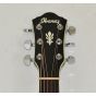 Ibanez AEG10NIIBK Classical Acoustic Electric Guitar Black B-Stock 0312 sku number AEG10NIIblk.B 0312