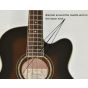 Ibanez AEB10E-DVS Artwood Series Acoustic Electric Bass in Dark Violin Sunburst High Gloss Finish 9618 sku number AEB10EDVS.B-9618