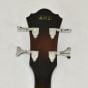 Ibanez AEB10E-DVS Artwood Series Acoustic Electric Bass in Dark Violin Sunburst High Gloss Finish 9618 sku number AEB10EDVS.B-9618
