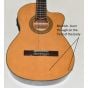 Ibanez GA6CE Classical Electric Acoustic Guitar  B-Stock 7788 sku number GA6CE.B7788