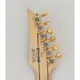 Ibanez SML721 Electric Guitar RGC B0495 sku number SML721 - B0495