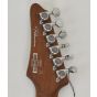Ibanez TOD10 Tim Henson Signature Electric Guitar B6168 sku number TOD10 - B6168